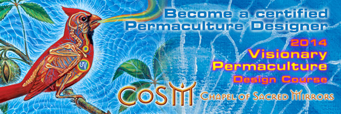 permaculture_2014-700
