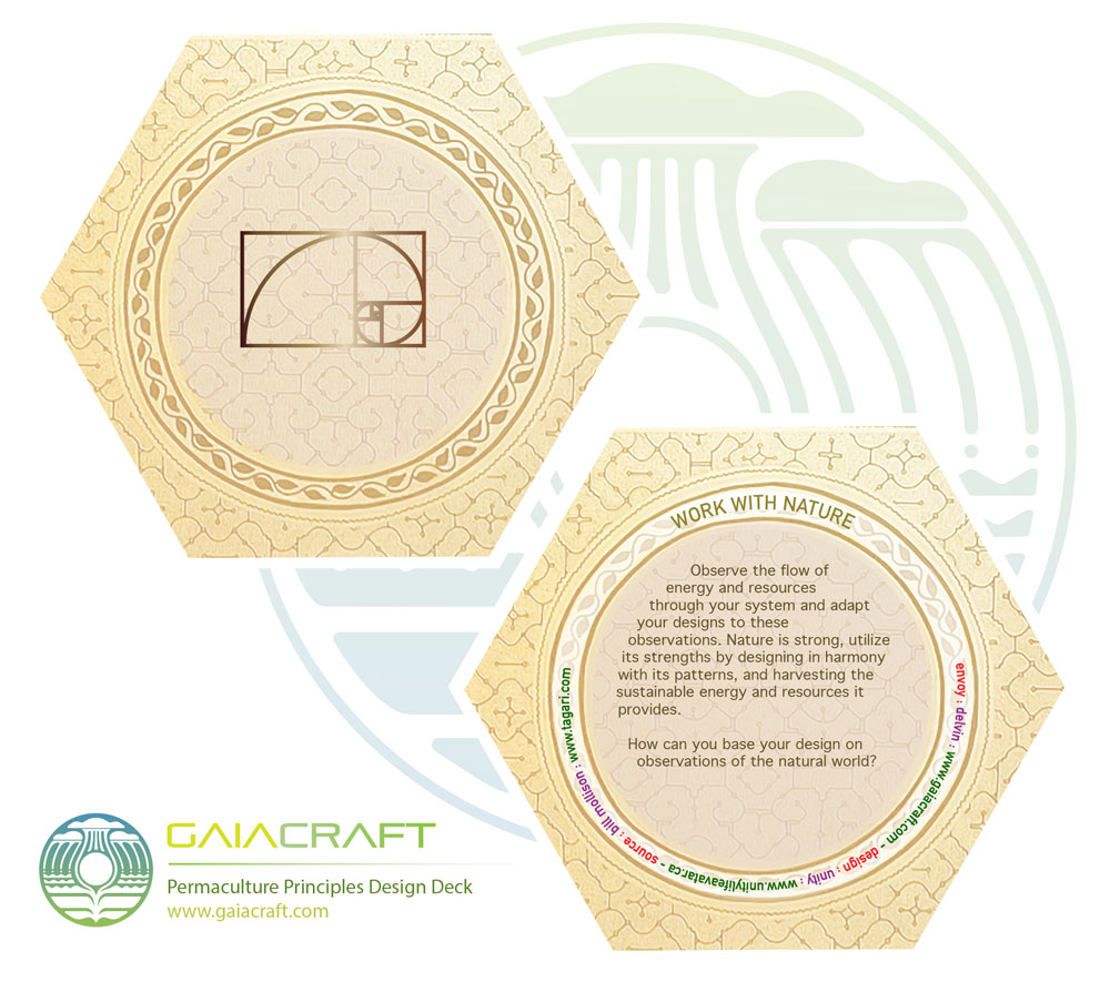 design : www.unitylifeavatar.ca envoy : www.visionarypermaculture.com